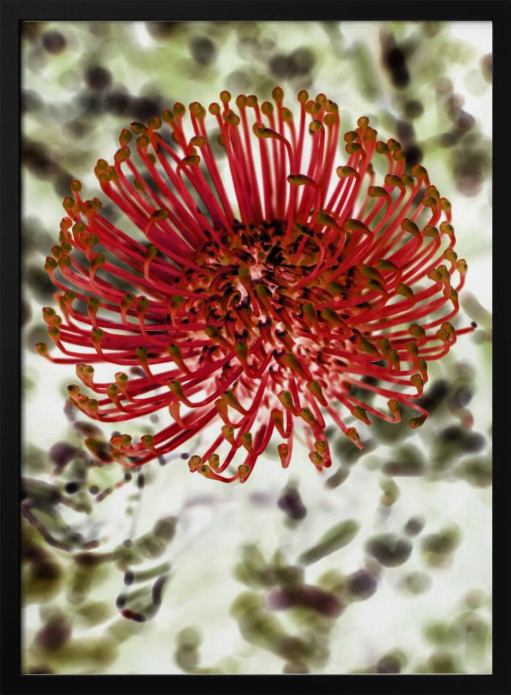 Radiant Blossom | Poster
