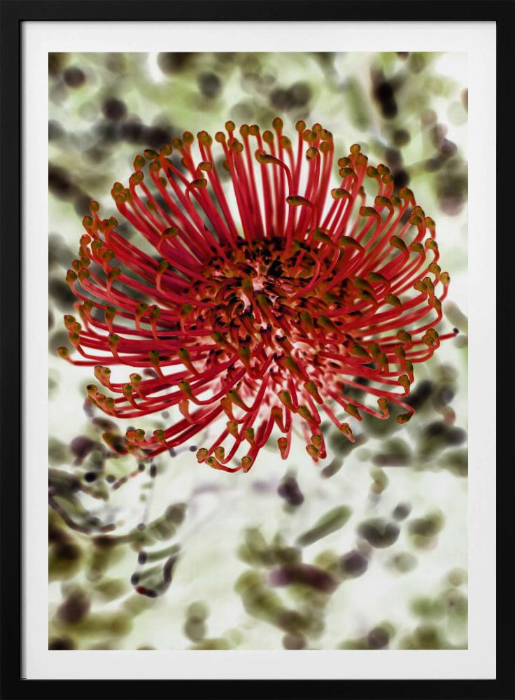 Radiant Blossom | Poster