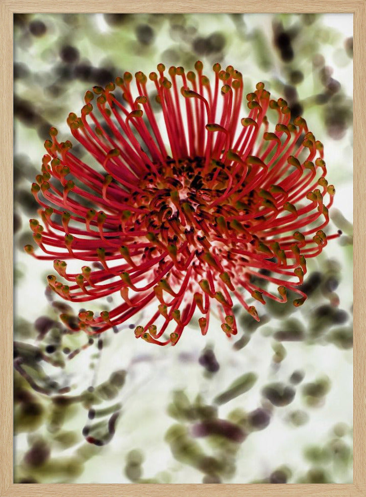 Radiant Blossom | Poster