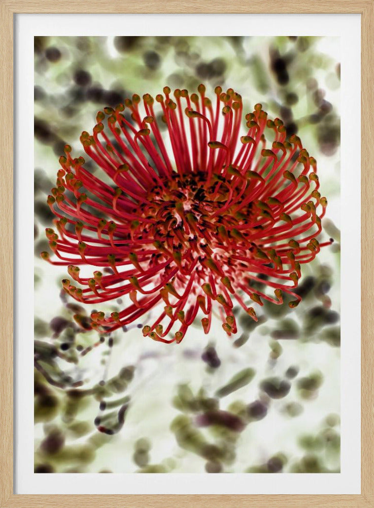 Radiant Blossom | Poster