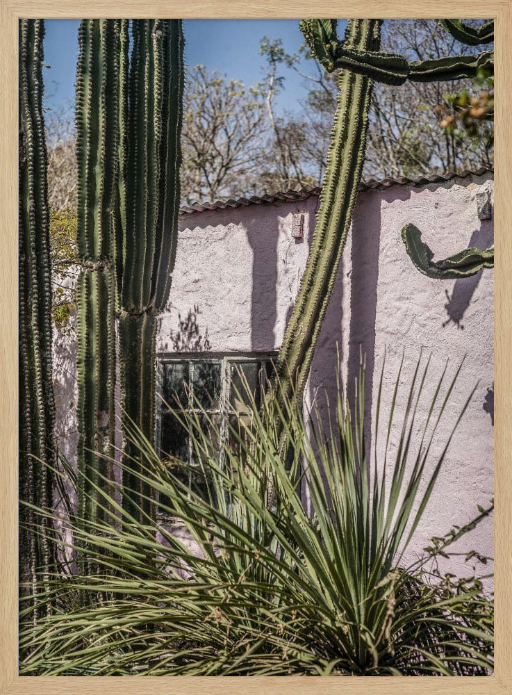 Cactus & Pink Wall | Poster