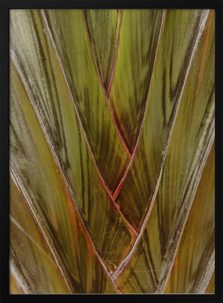 Verdant Vortex | Poster