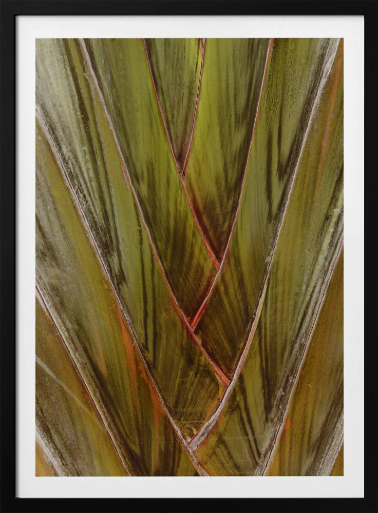 Verdant Vortex | Poster