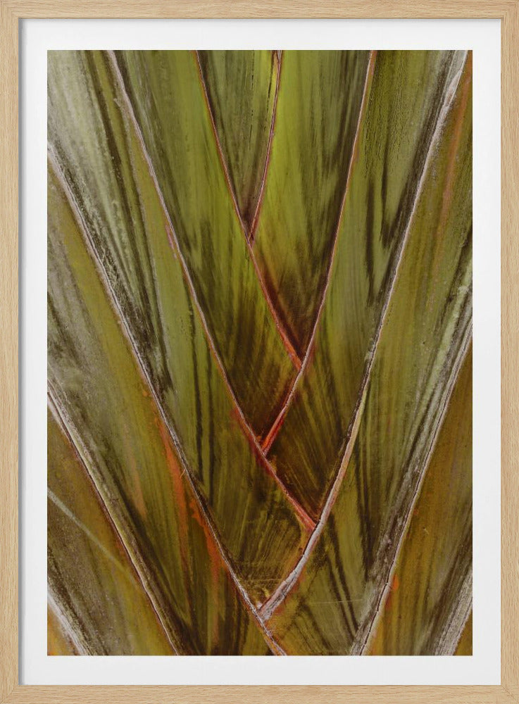 Verdant Vortex | Poster