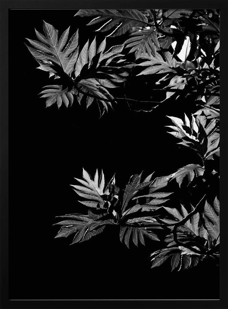 Shadows of Leaves | Poster
