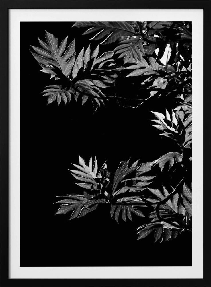 Shadows of Leaves | Poster