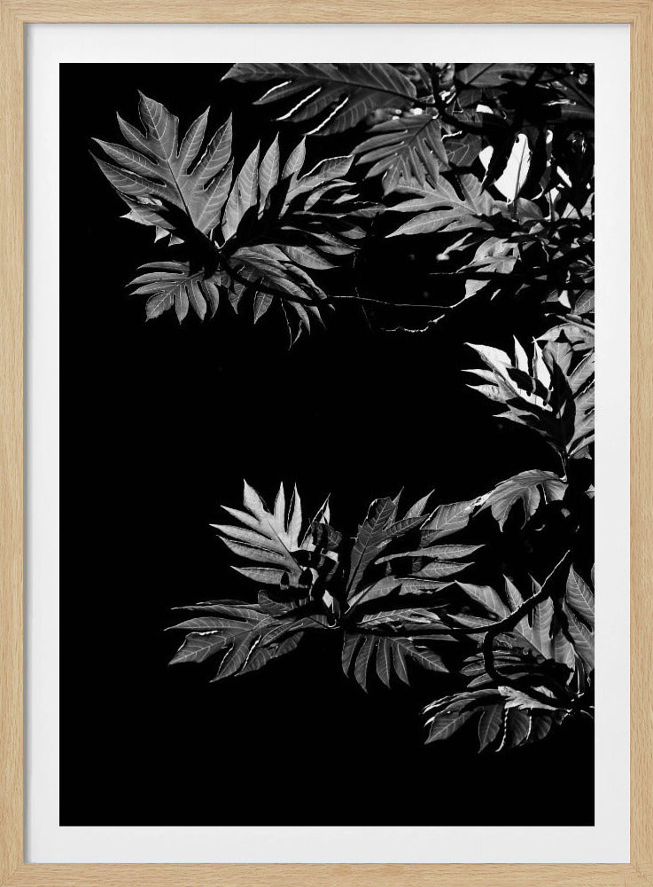 Shadows of Leaves | Poster