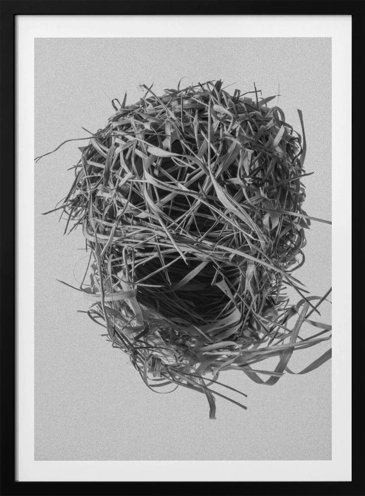 Weavers Nest | Poster