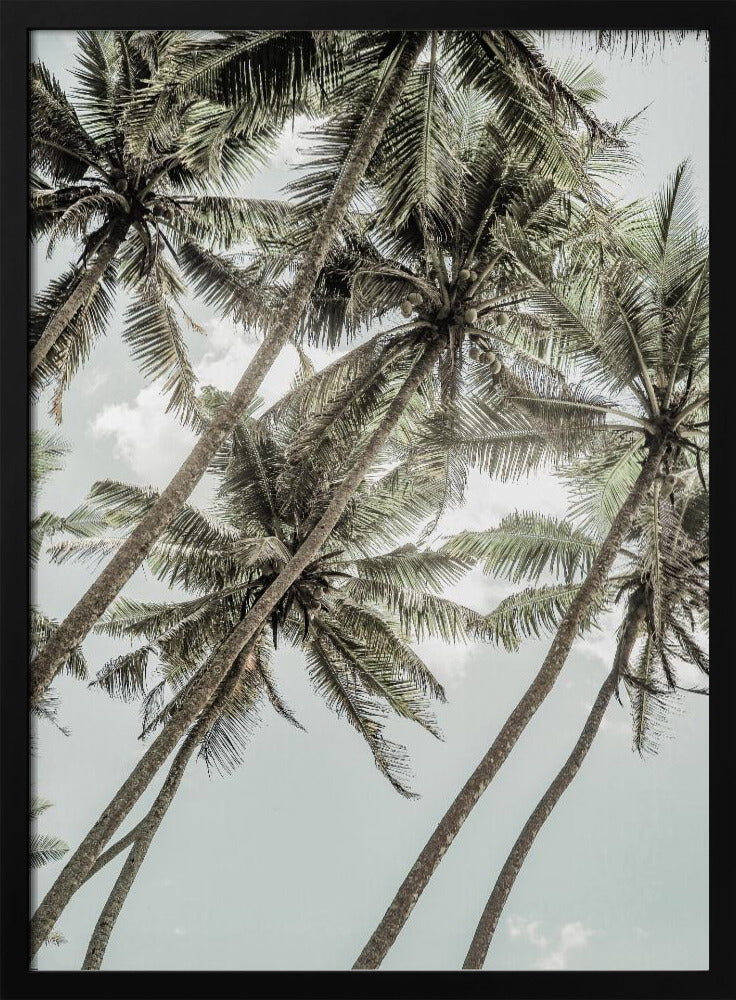 Wild Love | Poster