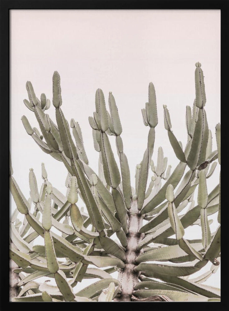 Serene Desert Growth | Poster