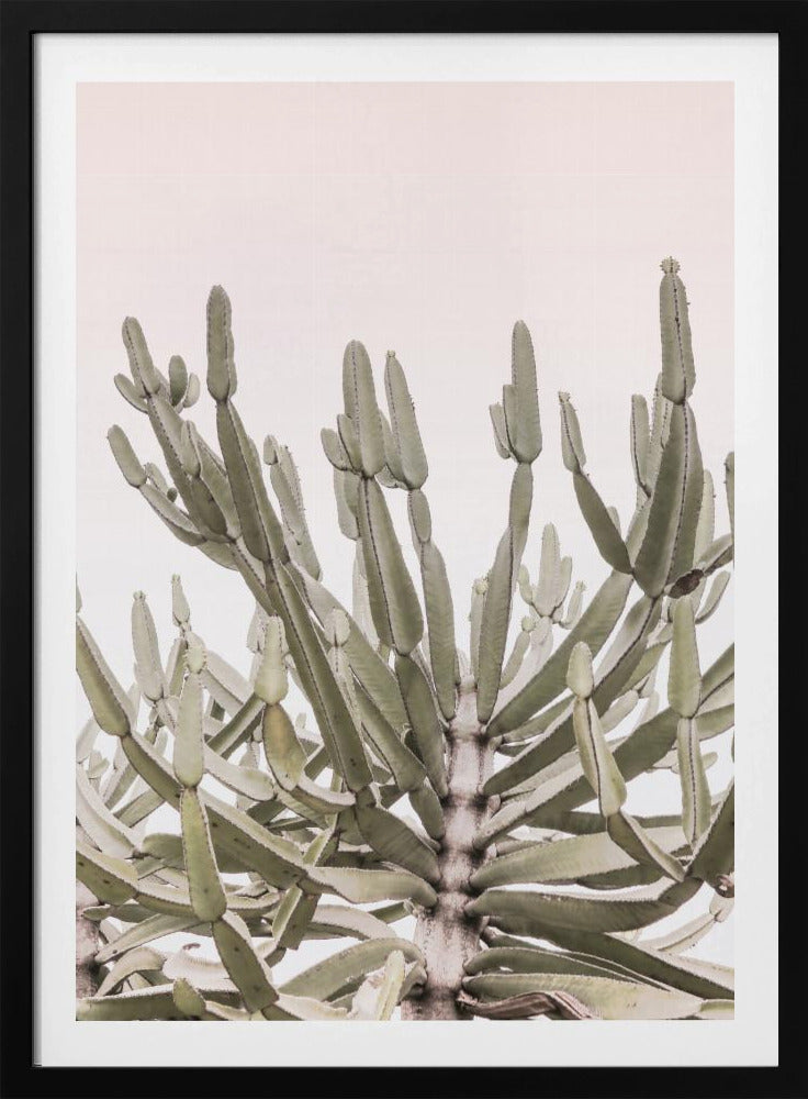 Serene Desert Growth | Poster