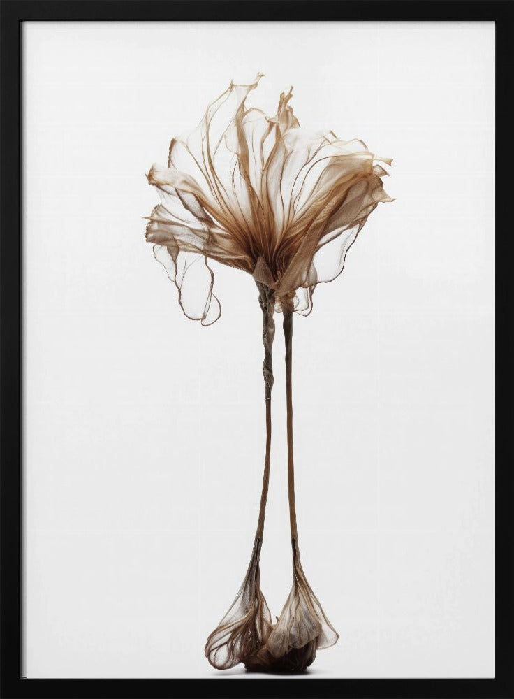 Delicate Whimsy | Poster