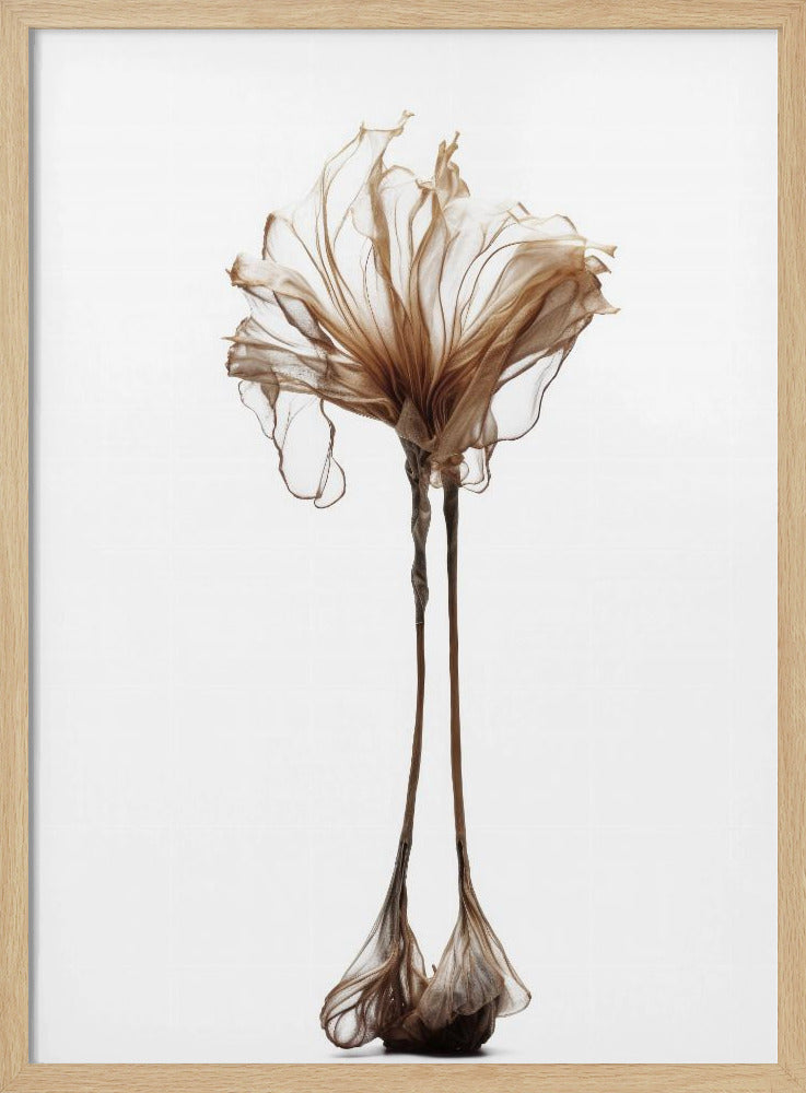 Delicate Whimsy | Poster