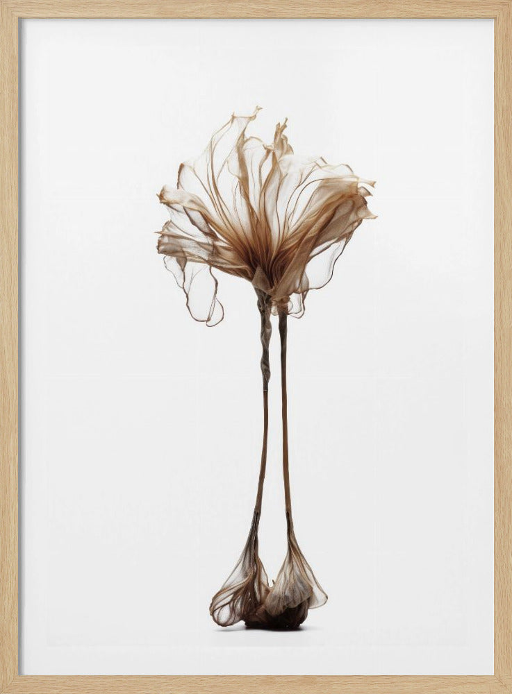 Delicate Whimsy | Poster