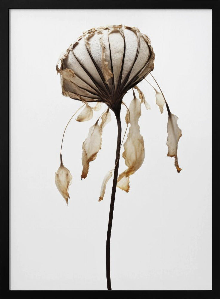 Withered Elegance | Poster