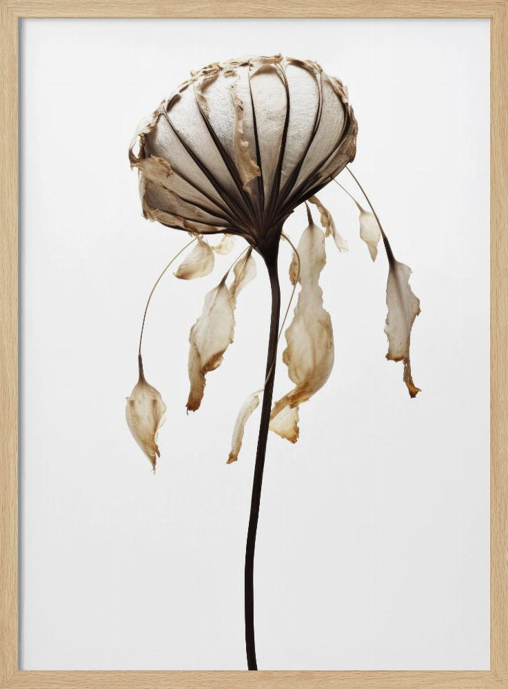 Withered Elegance | Poster