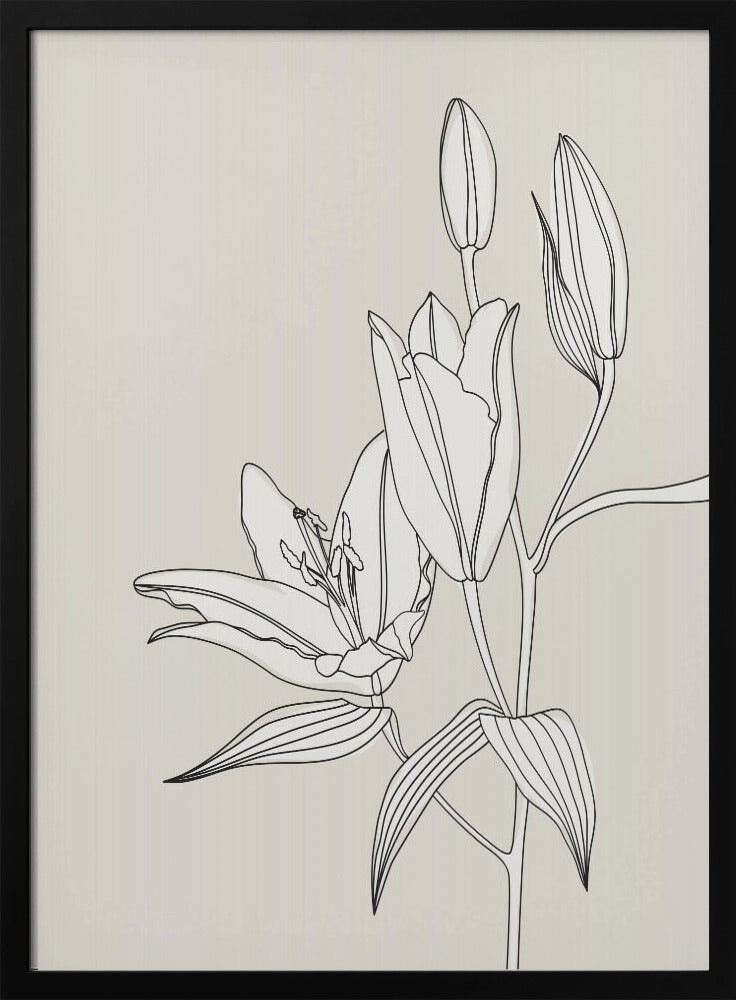 Line art lillies in beige | Poster