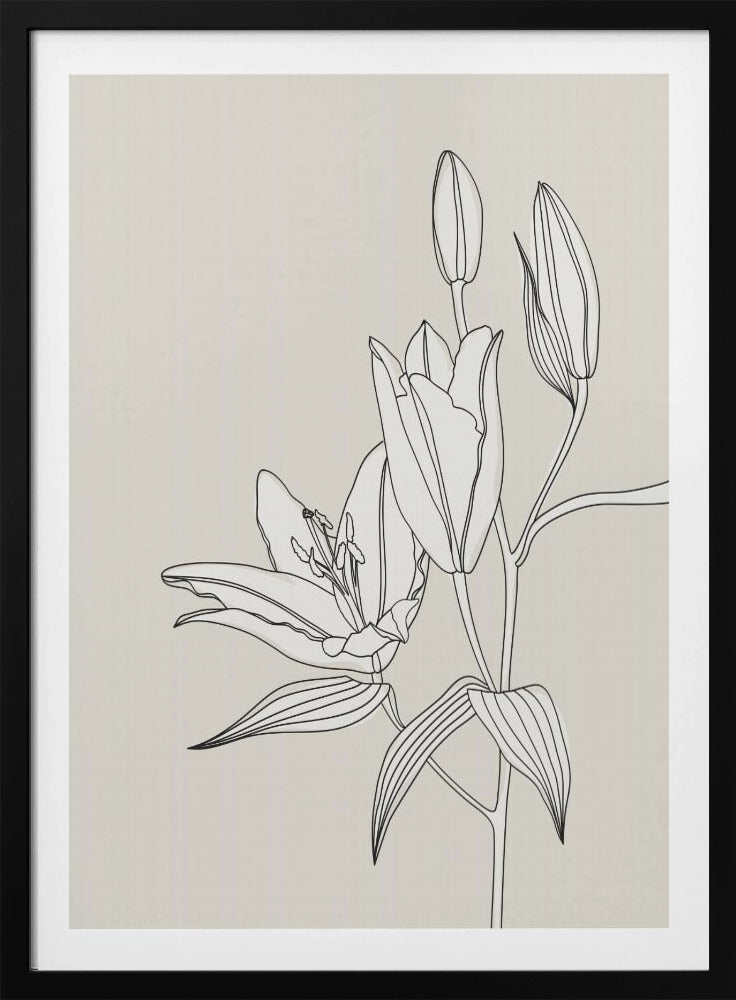 Line art lillies in beige | Poster