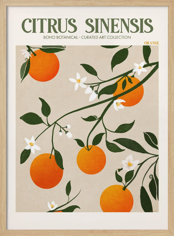 Orange Elegance | Poster