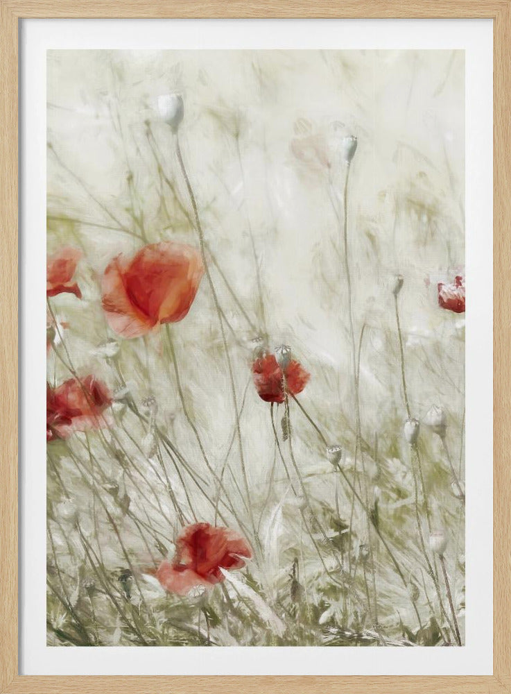 Corn Rose | Poster