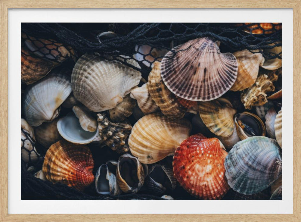 Shell Symphony | Poster