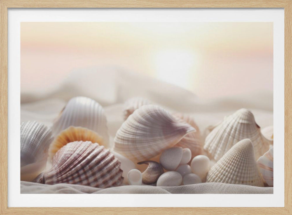 Seashell Serenity | Poster