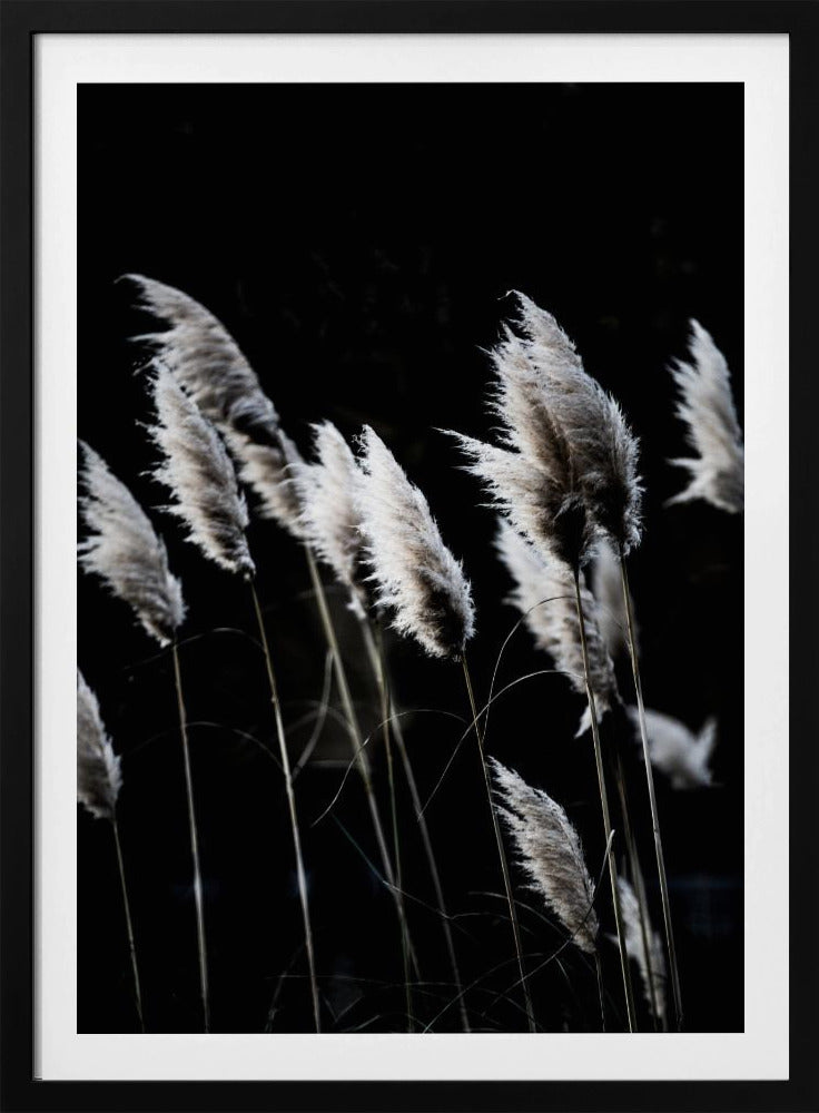 Grass 4 | Poster