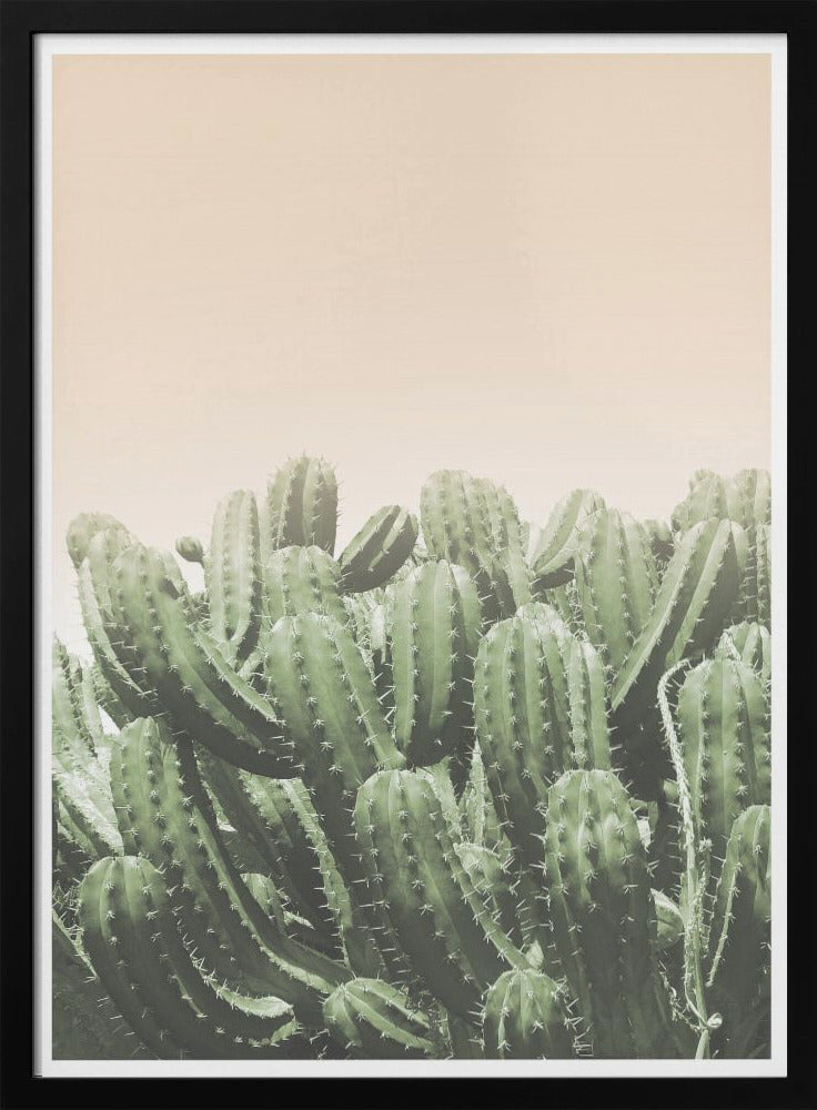 Desert’s Embrace | Poster