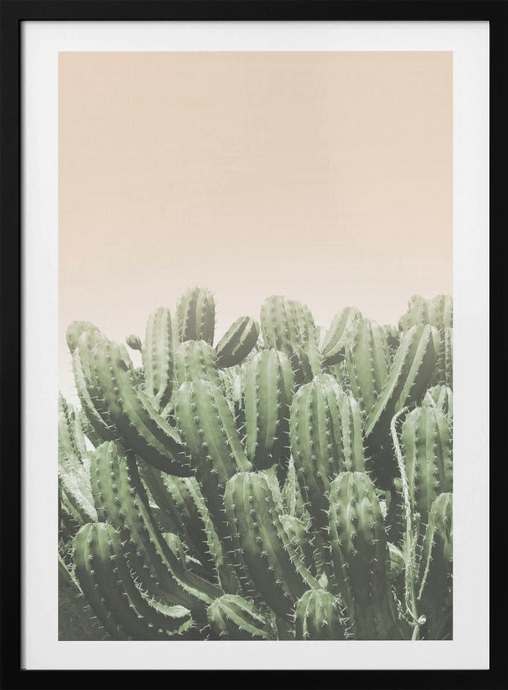 Desert’s Embrace | Poster