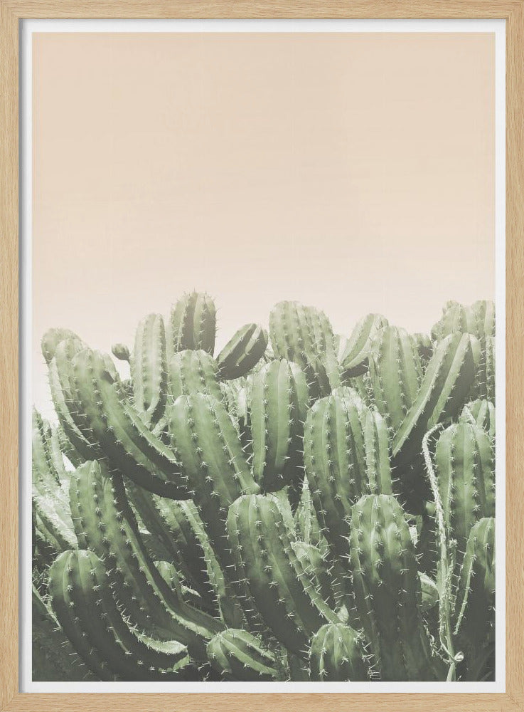 Desert’s Embrace | Poster