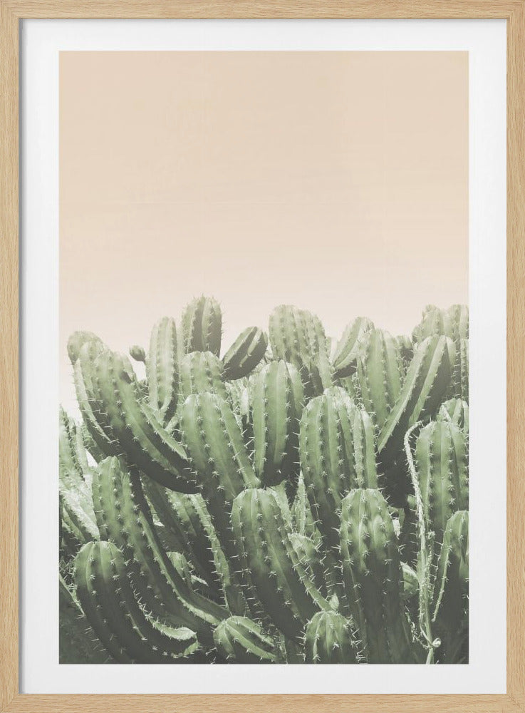 Desert’s Embrace | Poster
