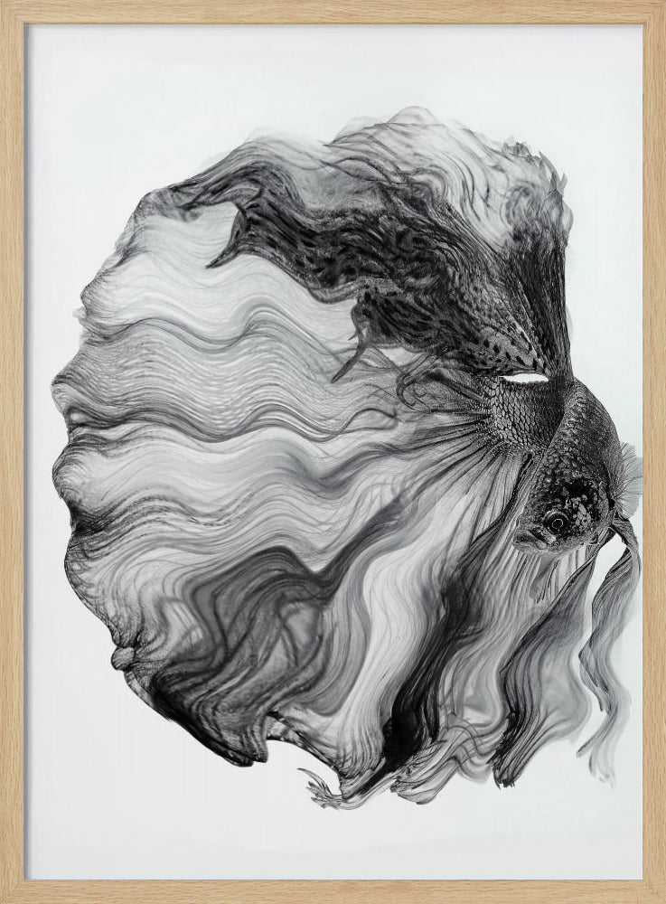 INK BETTA | Poster