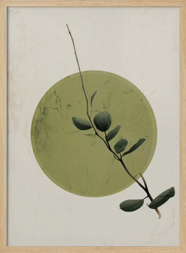 Green Serenity Circle | Poster