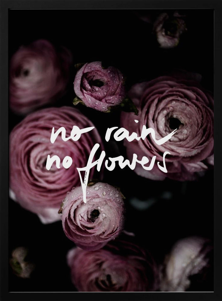 No Rain No Flowers 2 | Poster