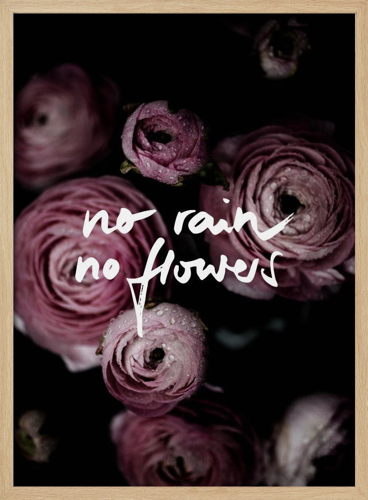 No Rain No Flowers 2 | Poster