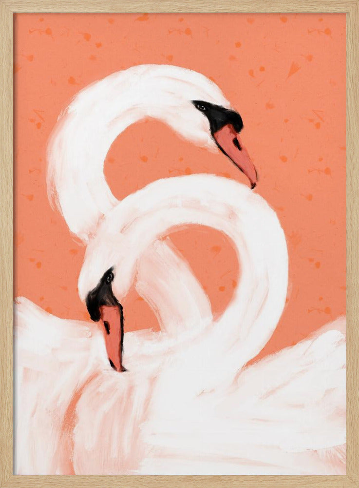 Graceful Swans | Poster