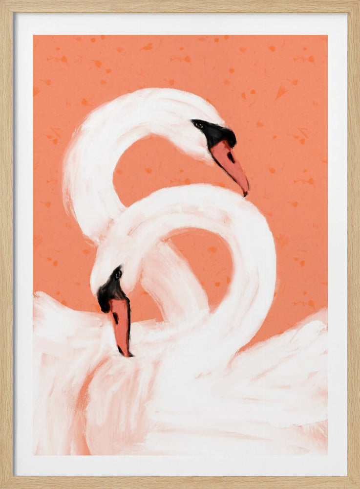 Graceful Swans | Poster