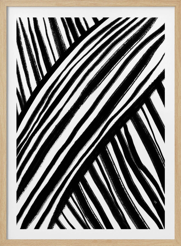 Zebra's Pathway | Poster
