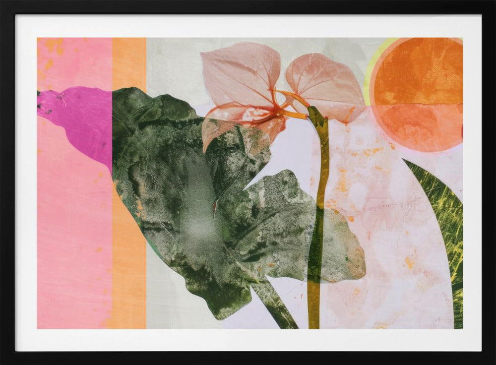 Tropical Sunrise | Poster