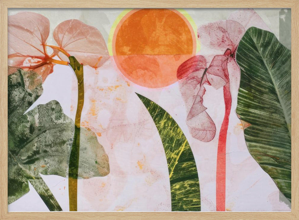 Tropical Sunrise | Poster