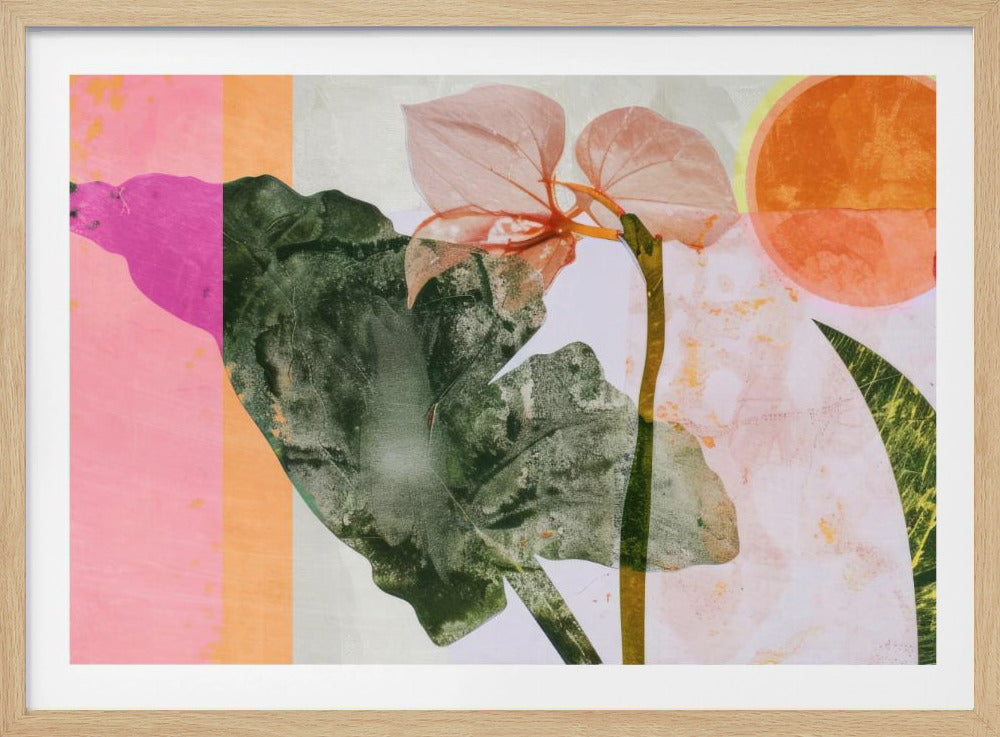 Tropical Sunrise | Poster