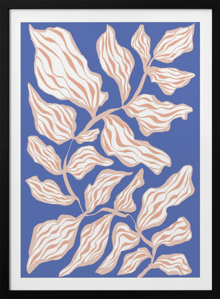 Evevning Glory | Poster