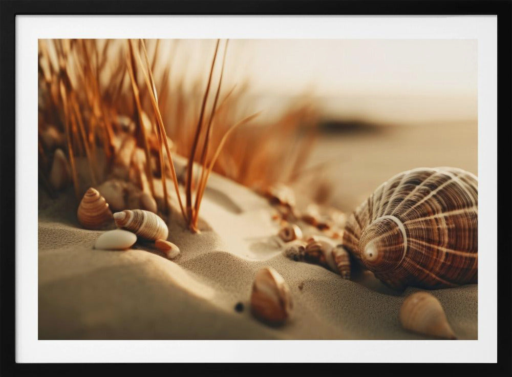 Dunes' Silent Shells | Poster