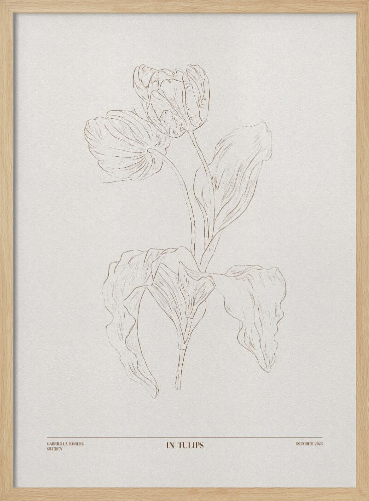 In Tulips (brown) | Poster