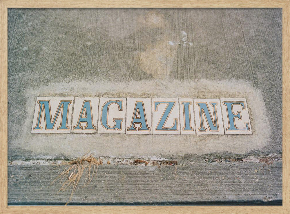 New Orleans Magazine Street | Poster