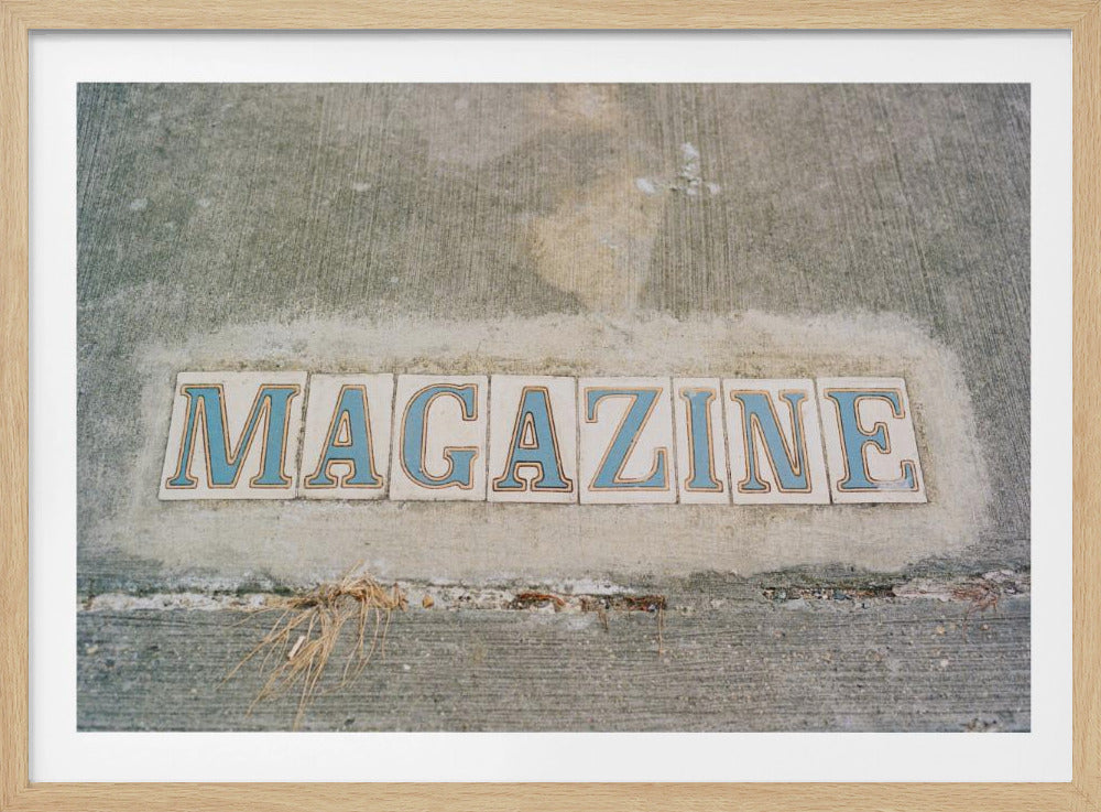 New Orleans Magazine Street | Poster