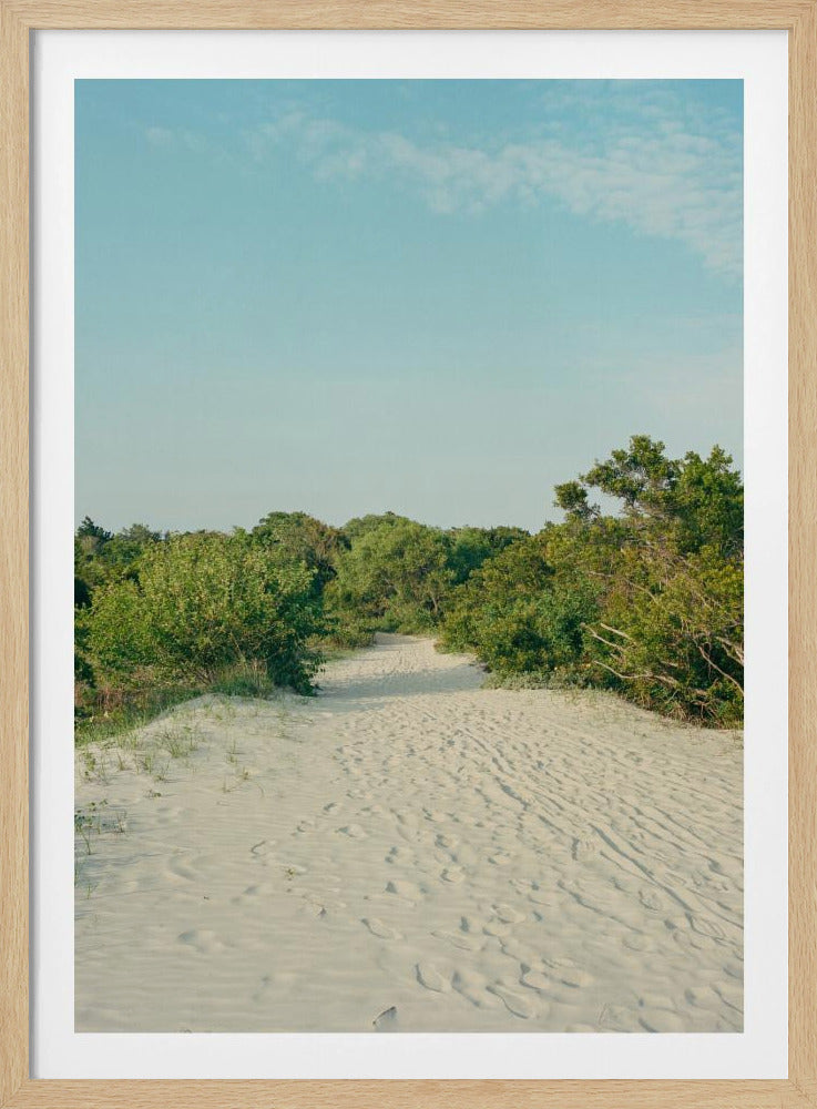 Sullivan's Island | Poster