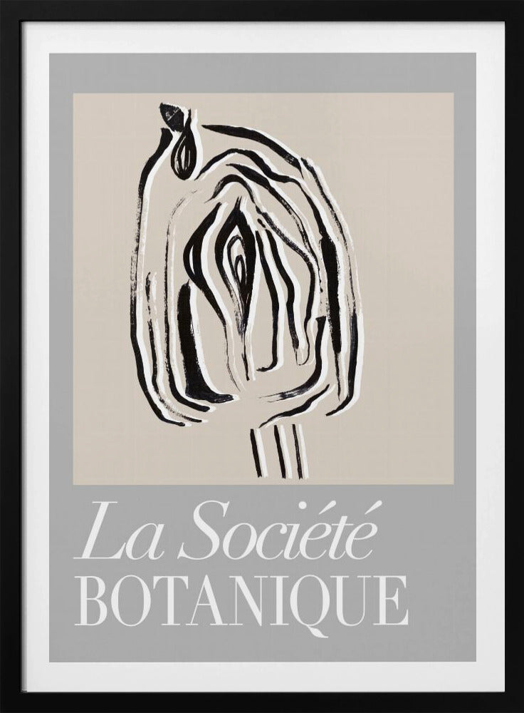 La Société Botanique Seed Pod | Poster