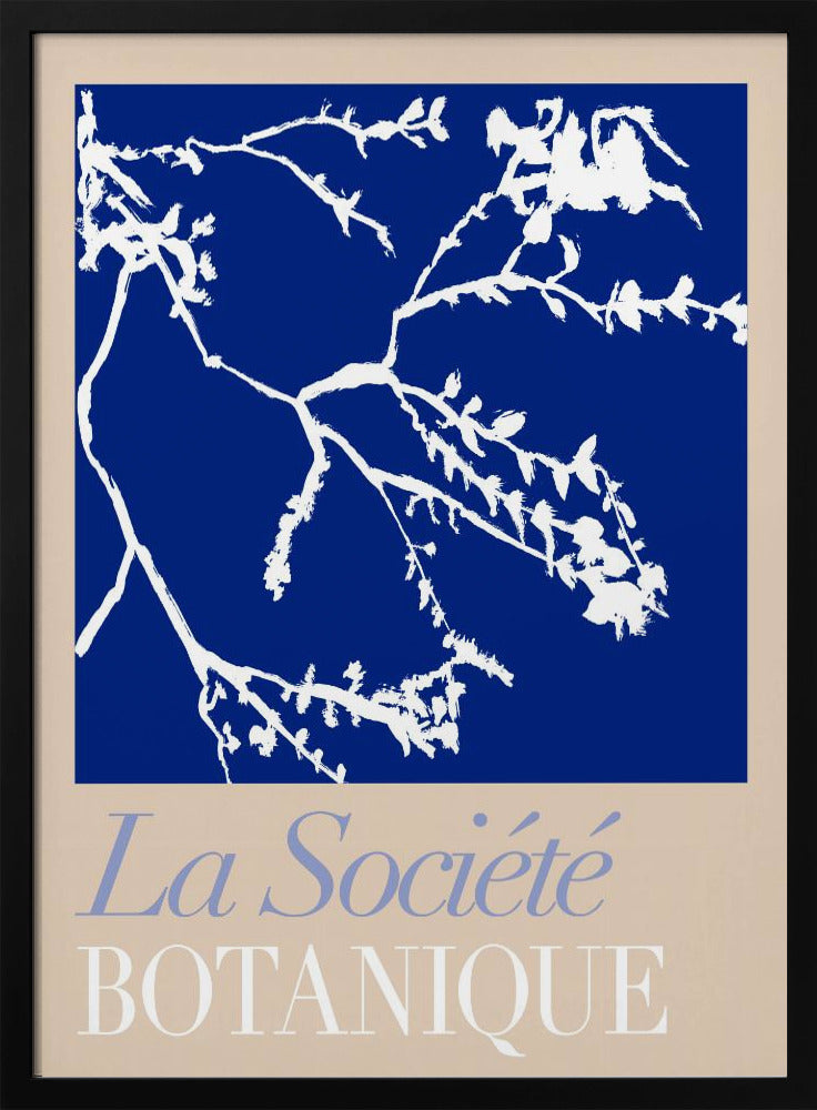 La Société Botanique White Flower 2 | Poster