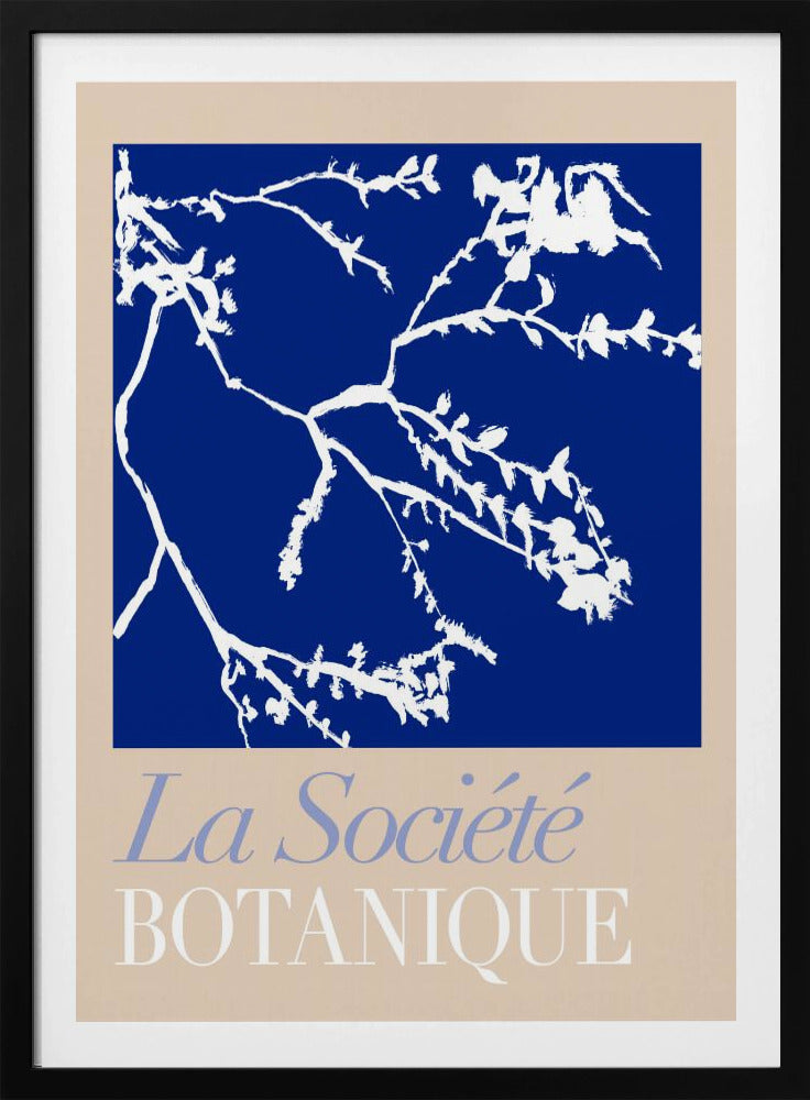La Société Botanique White Flower 2 | Poster
